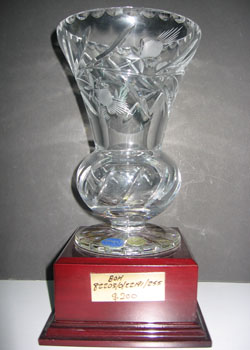 Crystal Vase 82203-225