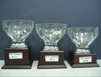 Crystal Vase RCR-236850