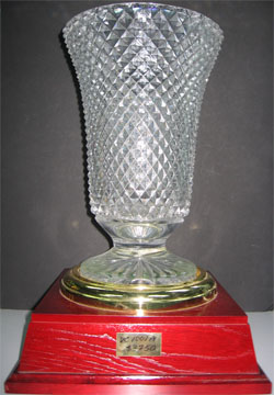 Crystal Vase VC1001A
