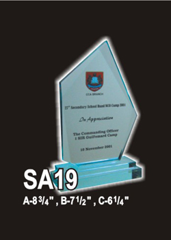 Acrylic 91 (SA19)