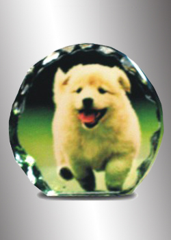 Crystal Gift 23 (1 - 2)