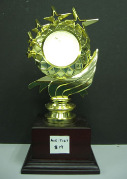 AUS-T167