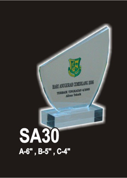 Acrylic 102 (SA30)